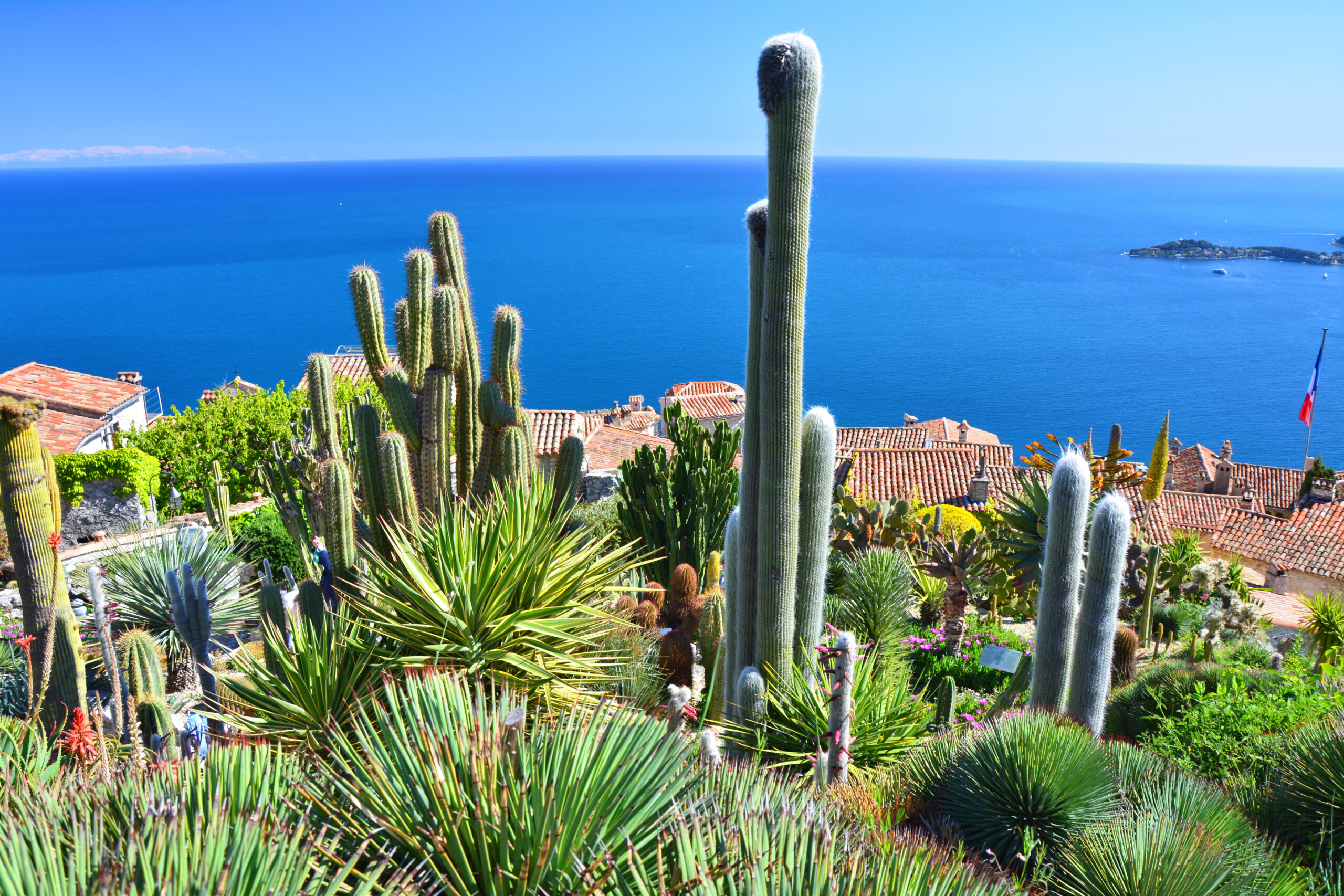 view from exotic garden in eze village south france