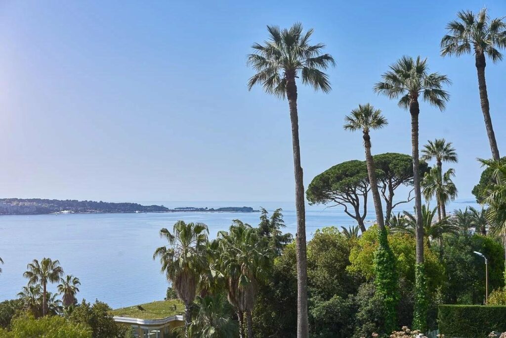 view of the south of france with palm trees and mediterranean sea