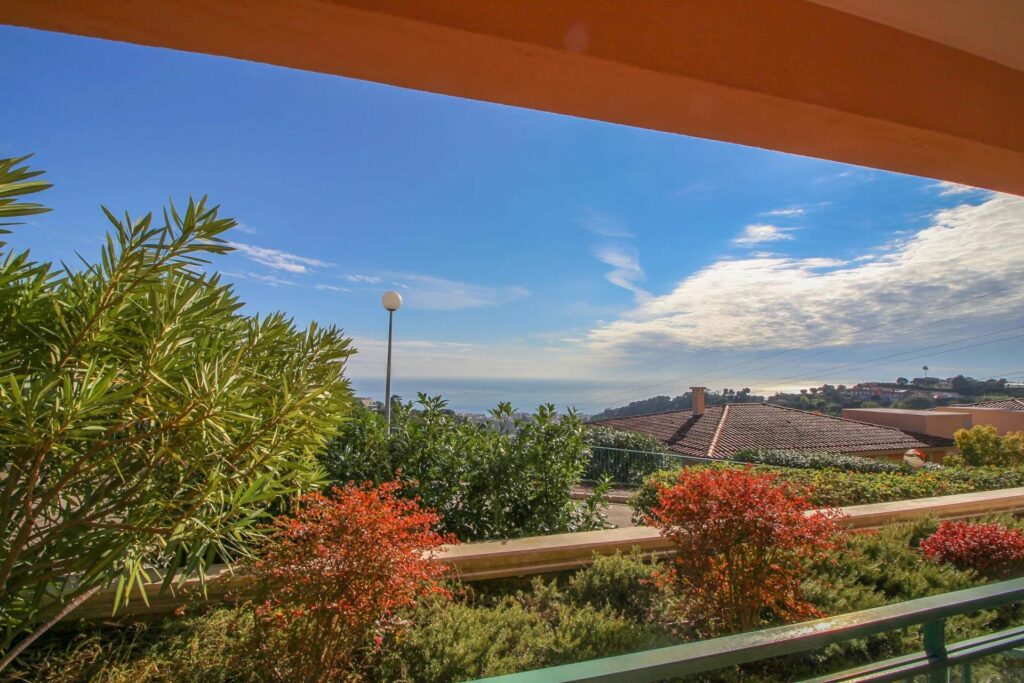 french property for sale in nice