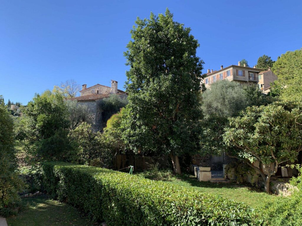 garden of village house in seillans with large tall trees