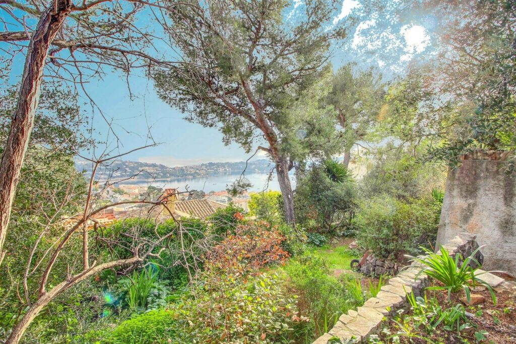 garden of villa for sale in the south of france