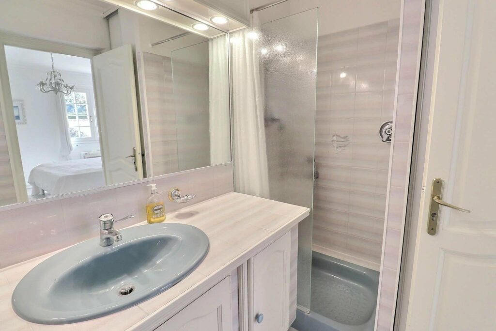 small bathroom with standing glass shower and single sink